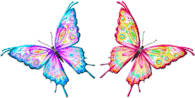 L' effet papillon 1 papillons